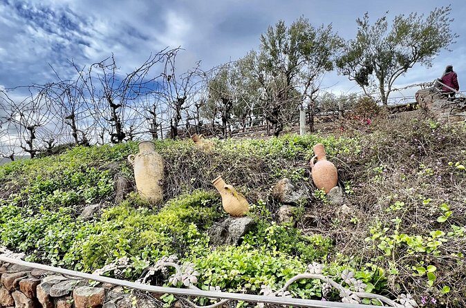 Private Wine Tour of Napa and Sonoma - FAQ