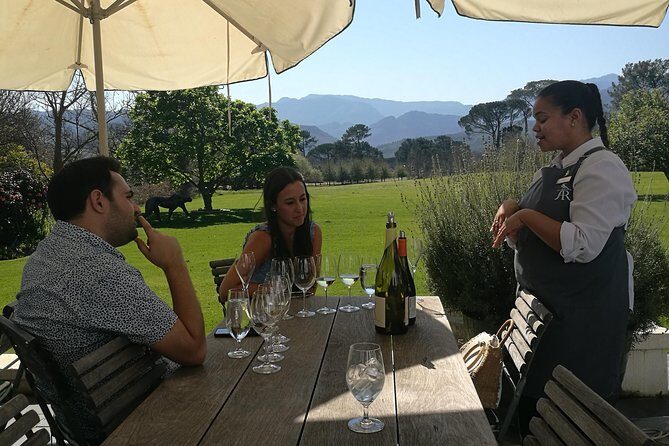 Private Wine Tour of Stellenbosch, Franschhoek and Paarl - Final Thoughts: Is This Tour for You?