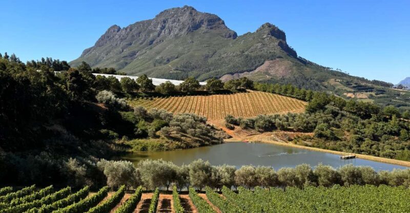 Private Wine Tour: Visit Stellenbosch, Franschhoek &Paarl - An In-Depth Look at the Cape Winelands Private Tour