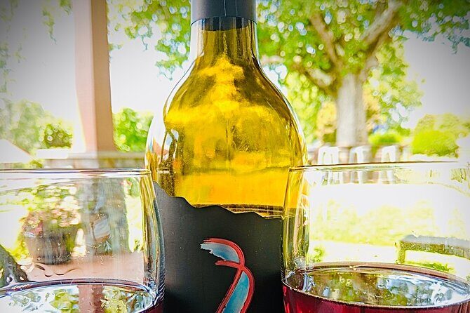 Private Wine Tour with Dine in Black Mountain from Asheville - A Detailed Look at the Tour Experience