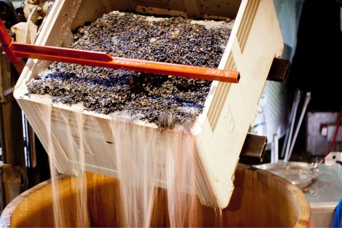 Private Wine Tour with Tastings from Eugene - Introduction