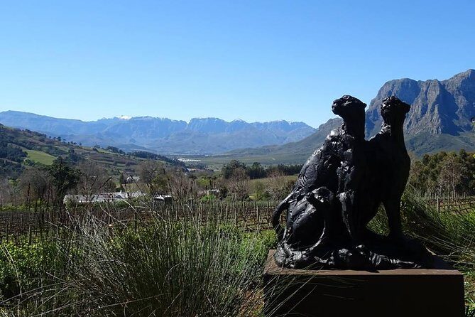 Private Wine Tour with Wine Expert to Stellenbosch-Franschhoek Wine Regions - The Practicalities and What to Expect