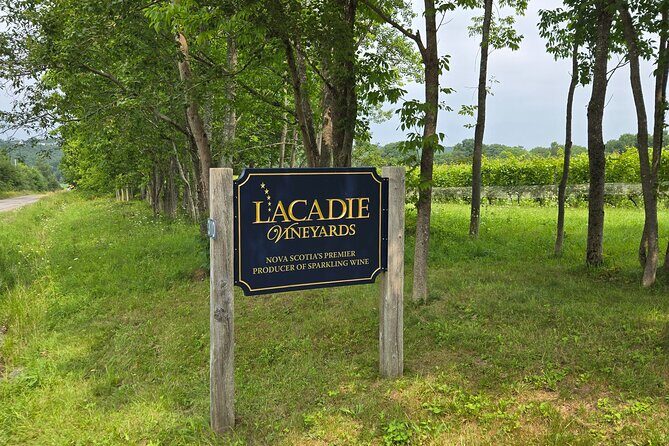 Private Wine Tours from Halifax - Explore Halifax’s Best-Kept Secret: Private Wine Tours from Halifax