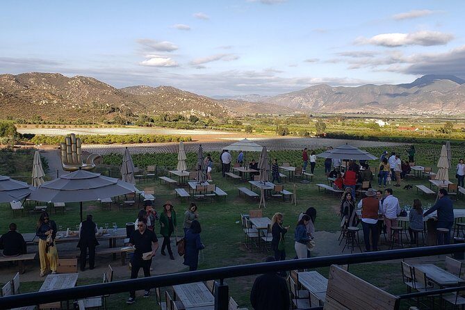 PRIVATE WINETASTING TOUR (Transportation,custom schedule) - Authenticity and Reviews
