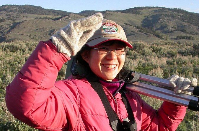 Private Wolf and Bear Watching in Yellowstone - An In-Depth Look at the Yellowstone Wildlife Tour