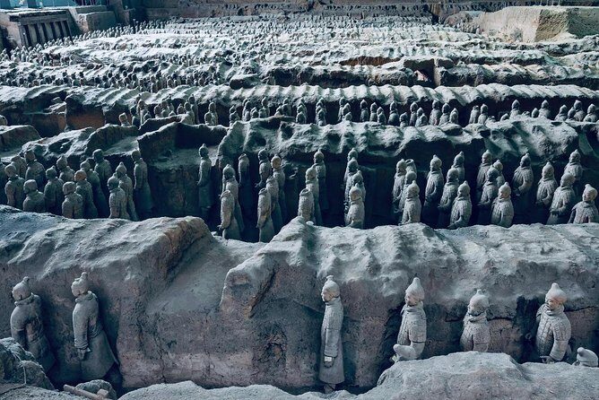Private Xi'an Driver Service to Terracotta Army - Why Choose This Service?