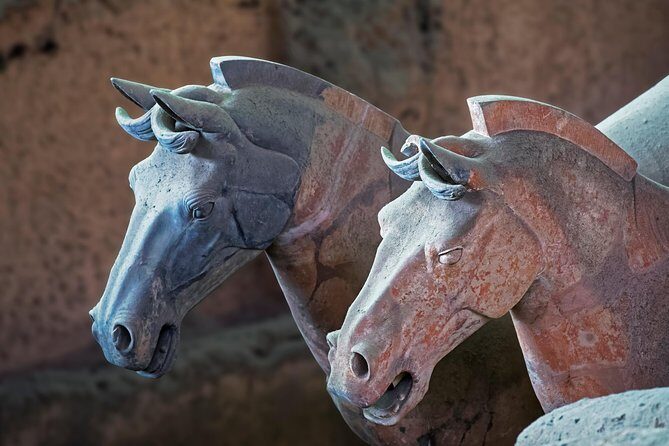 Private Xi'an Tour: Terracotta Warriors, Hanyangling Museum, Cave Homes - Who Should Book This Tour?