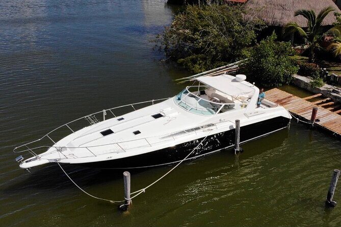 Private Yacht 46ft Sea Ray Snorkel up to 15 pax 23P2 - The Bottom Line