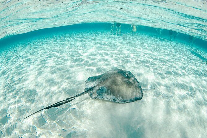 Private Yacht 48 ft Sting Ray City, Snorkel & Starfish Beach - Final Thoughts: Is It Worth It?