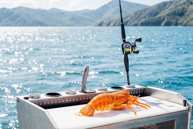Private Yacht Cruise in the Marlborough Sounds New Zealand - FAQs