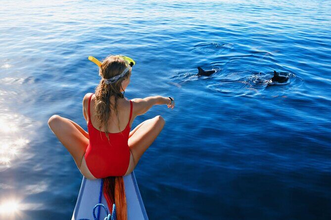 Private Yacht Cruise to Dolphin House with Lunch : Hurghada - Introduction: Who Should Consider This Tour?