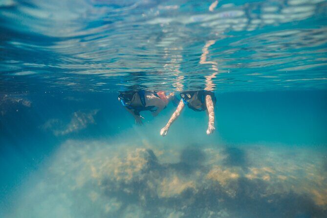 Private Yal-ku and Akumal Experience - The Sum Up