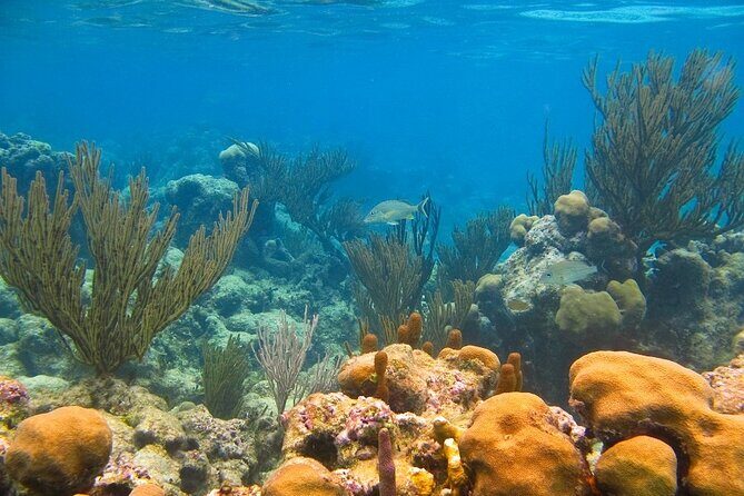 Private Yal-ku and Akumal Experience - FAQ