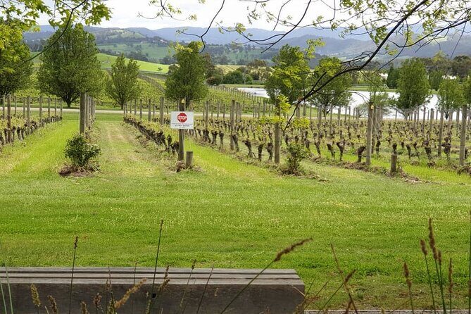 Private Yarra Valley Winery & Healesville Sanctuary Tours - FAQs