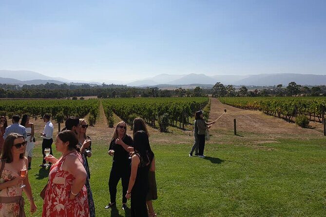 Private Yarra Valley Winery & Healesville Sanctuary Tours - Final Thoughts