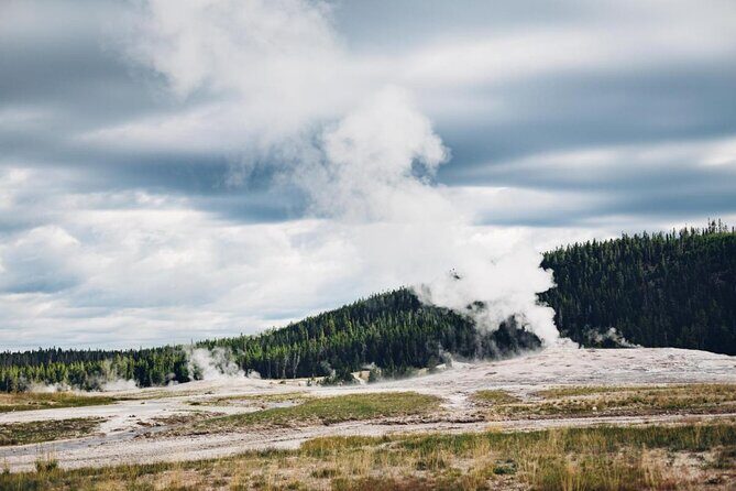 Private Yellowstone Old Faithful and Lower Loop Tour - An Overview of the Private Yellowstone Tour