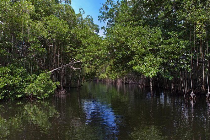 [PRIVATE] YS Falls, Black River, Pelican Bar - Entrance & Lunch - FAQ