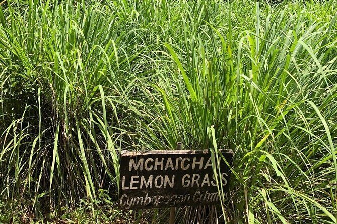 Private Zanzibar Spice Farm Tour - Authentic Experiences that Keep Tourists Coming Back