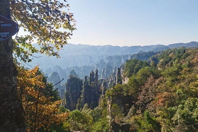 Private Zhangjiajie National Forest Park Day Tour - A Thorough Breakdown of the Experience
