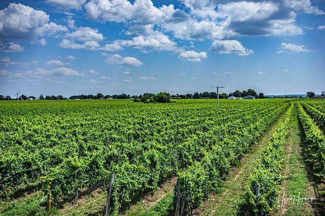 Private,Custom Niagara Escarpment-Scenic Boutique Winery Tasting Tour - The Experience of a Lifetime for Curated Wine Discovery