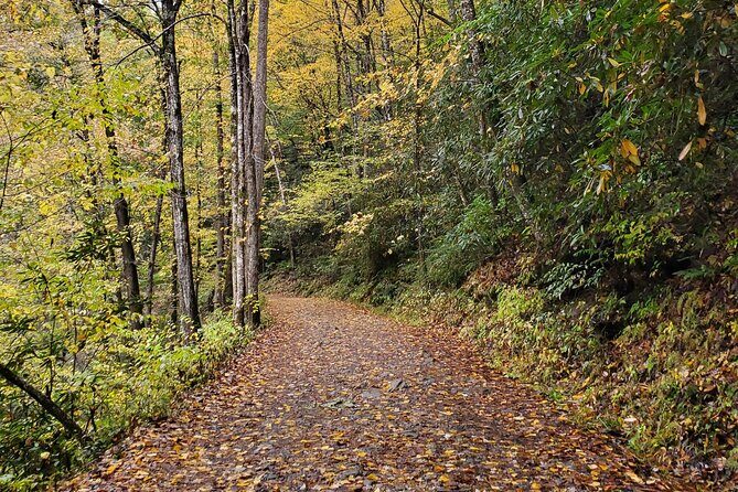 Privately Guided Full Day Hike - In-Depth Review of the Full-Day Private Hike Experience