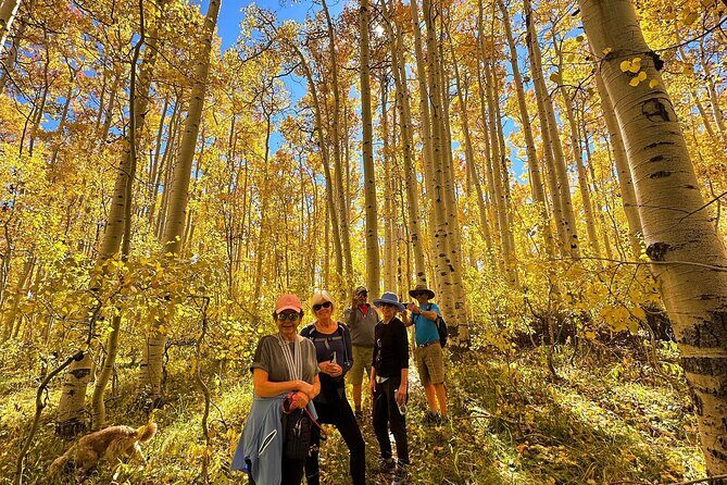 Privately Guided Scenic Mountain Hike - Breaking Down the Experience