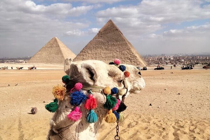 Privet tour Giza pyramids ,sphinx and Saqqara - Discovering the Marvels of Giza: The Pyramids and the Sphinx