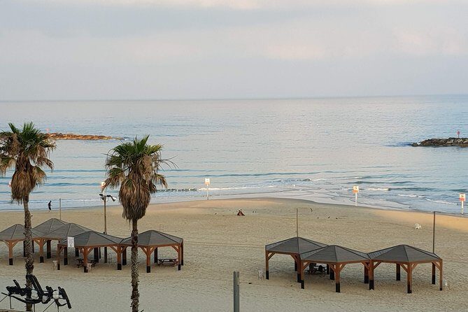 Privet walking tour in Tel Aviv-Yafo - Why This Tour Offers Great Value