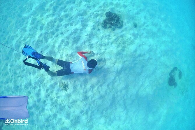 PRO-SNORKELING to Explore Hidden Coral Reefs (MAX 12 PAX) - Why This Tour Stands Out
