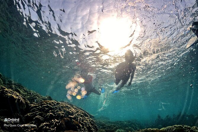 PRO-SNORKELING to Explore Hidden Coral Reefs (MAX 12 PAX) - The Value of a Scientific Approach