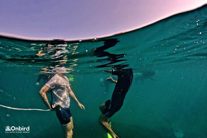 PRO-SNORKELING to Explore Hidden Coral Reefs (MAX 12 PAX) - Final Thoughts: Who Will Love This Tour?