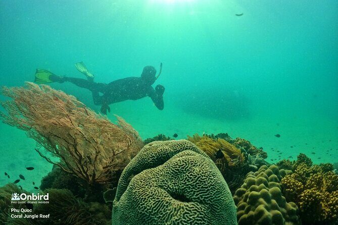 PRO-SNORKELING to Explore The Coral Jungle REEF (MAX 10 PAX) - Who Should Book This Tour?