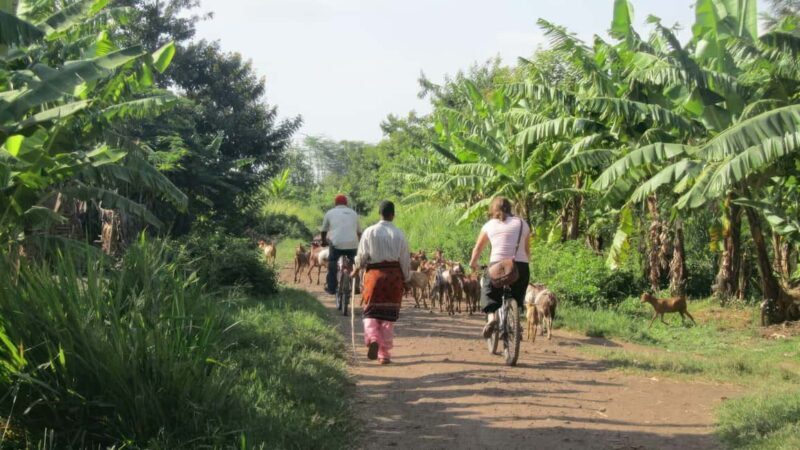 PRODIGIOUS CULTURAL TOUR - The Value of This Experience