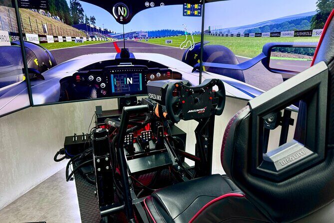 Professional racing simulator - Authentic Customer Feedback & Highlights