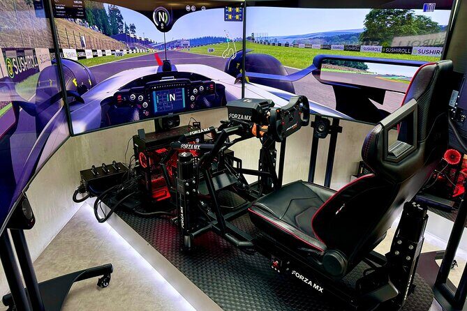 Professional racing simulator - Who Will Love This Experience?