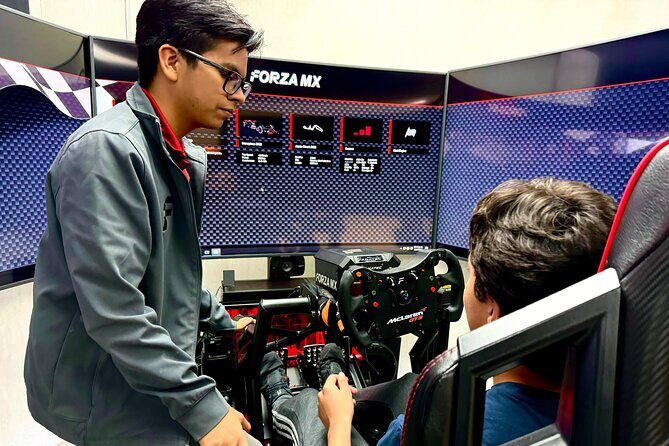 Professional racing simulator - FAQs