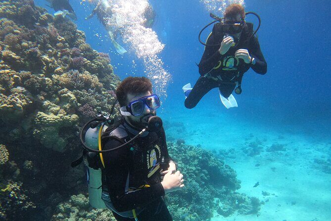 Professional Scuba Diving Trip in Hurghada with Lunch - Detailed Review: What Makes This Tour Stand Out?