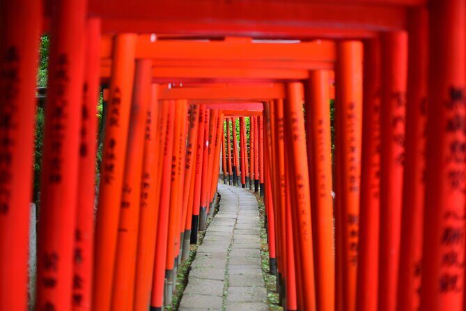 Professionally guided Tokyo Private Walking Tour - Key Points