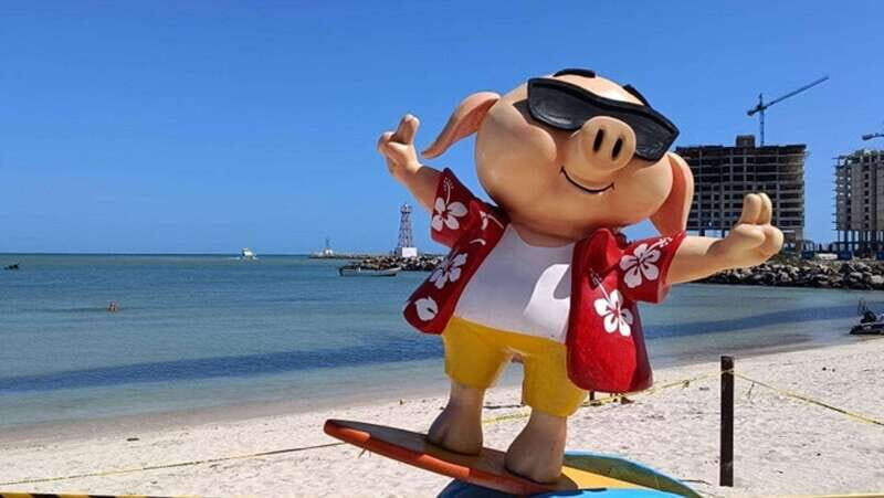 Progreso: Isla Columpios and Pig Beach Club Day Pass - Tips for Making the Most of the Tour