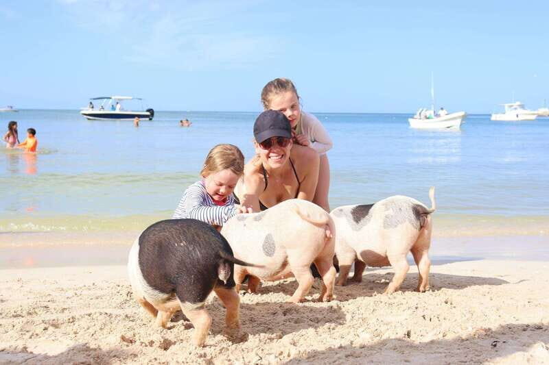 Progreso: Isla Columpios and Pig Beach Club Day Pass - Cost and Value