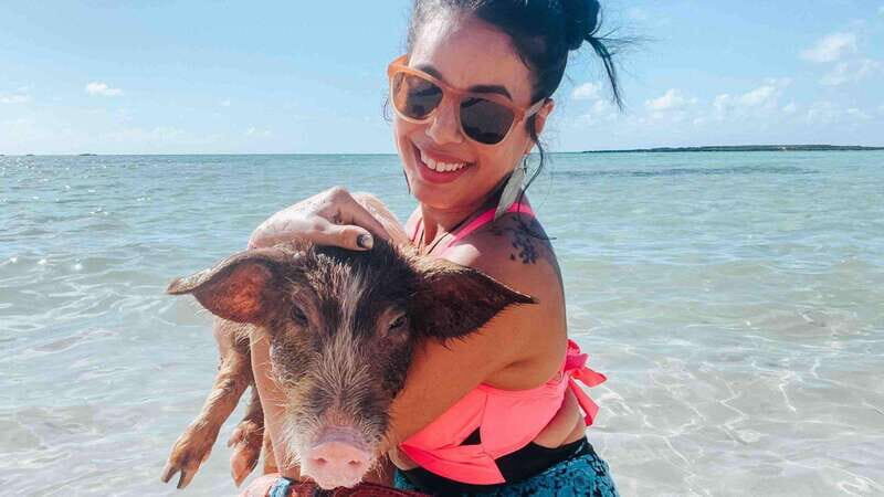 Progreso: Isla Columpios and Pig Beach Club Day Pass - Who Should Consider This Tour?