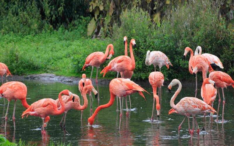 Progreso: Sightseeing Trip with Mayan Ruins & Beach Break - Return to Progreso