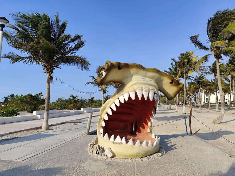 Progreso: stroll around town and savor the local cuisine - Who Will Love This Tour?