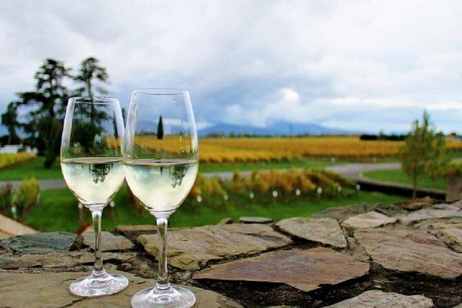 Progressive Wine and Gourmet Trail of Marlborough - An In-Depth Look at the Marlborough Gourmet and Wine Trail