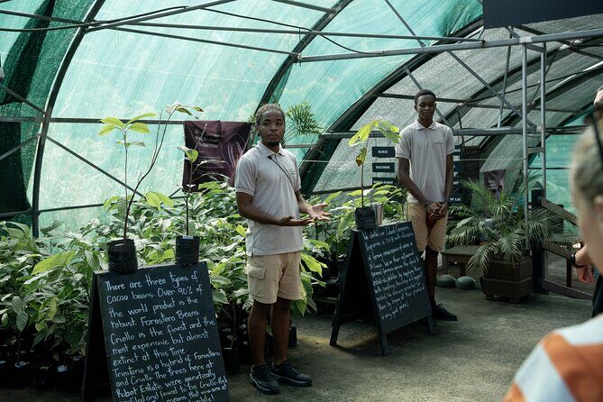 Project Chocolat Tree to Bar Tour at Hotel Chocolat Saint Lucia - Final Thoughts: Who Will Love This Tour?
