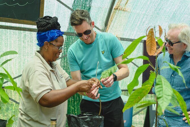 Project Chocolat Tree to Bar Tour at Hotel Chocolat Saint Lucia - Frequently Asked Questions