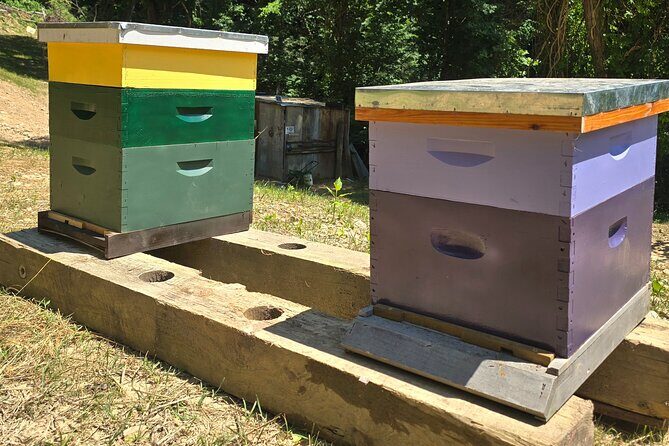 Promise Land Bee Farm Private Tour in Charleston - An Inside Look at the Promise Land Bee Farm Tour