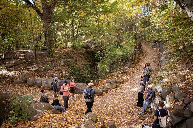 Prospect Park Tour - Why This Tour Excels for Visitors
