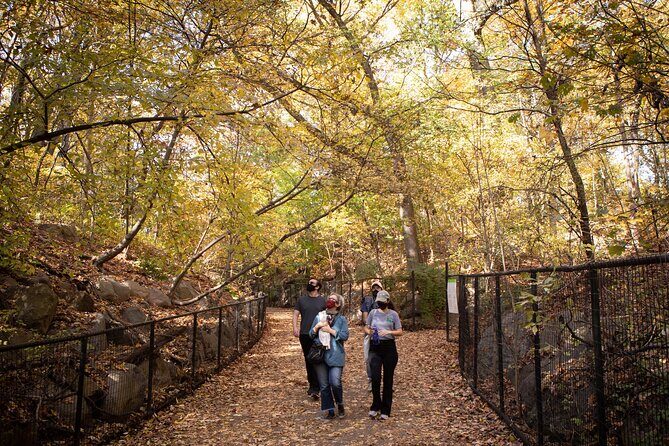 Prospect Park Tour - Final Thoughts: Is It Worth It?
