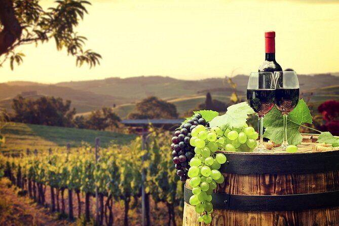 Provence Organic Wine Tasting Half Day Tour from Nice - The Itinerary in Detail